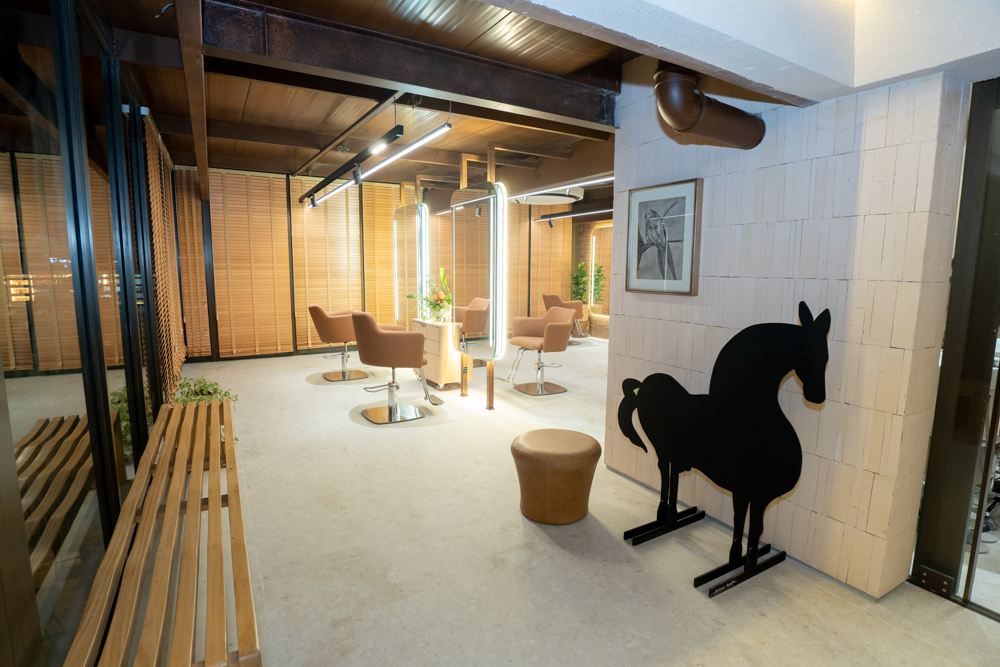 Prévia Exclusiva Bossa Salão Spa (47)