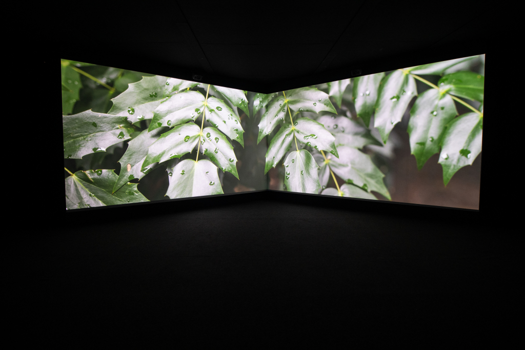 36 Bienal De São Paulo
