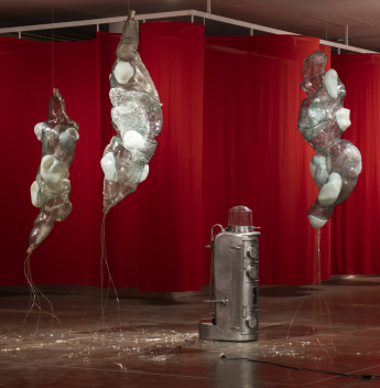 Itinerância da Bienal de São Paulo desembarca na Pinacoteca do Ceará com obras de artistas nacionais e internacionais