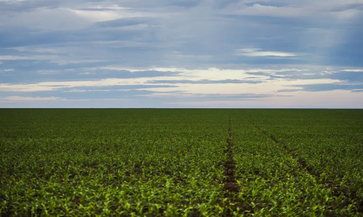 Fazenda estuda Fundo Garantidor para dívidas rurais