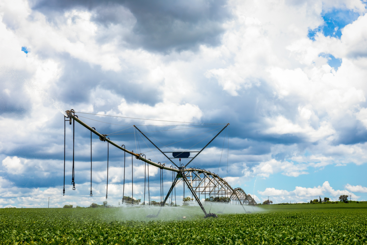 Assembleia do Ceará pauta modernização produtiva e agroindústria no interior do Estado