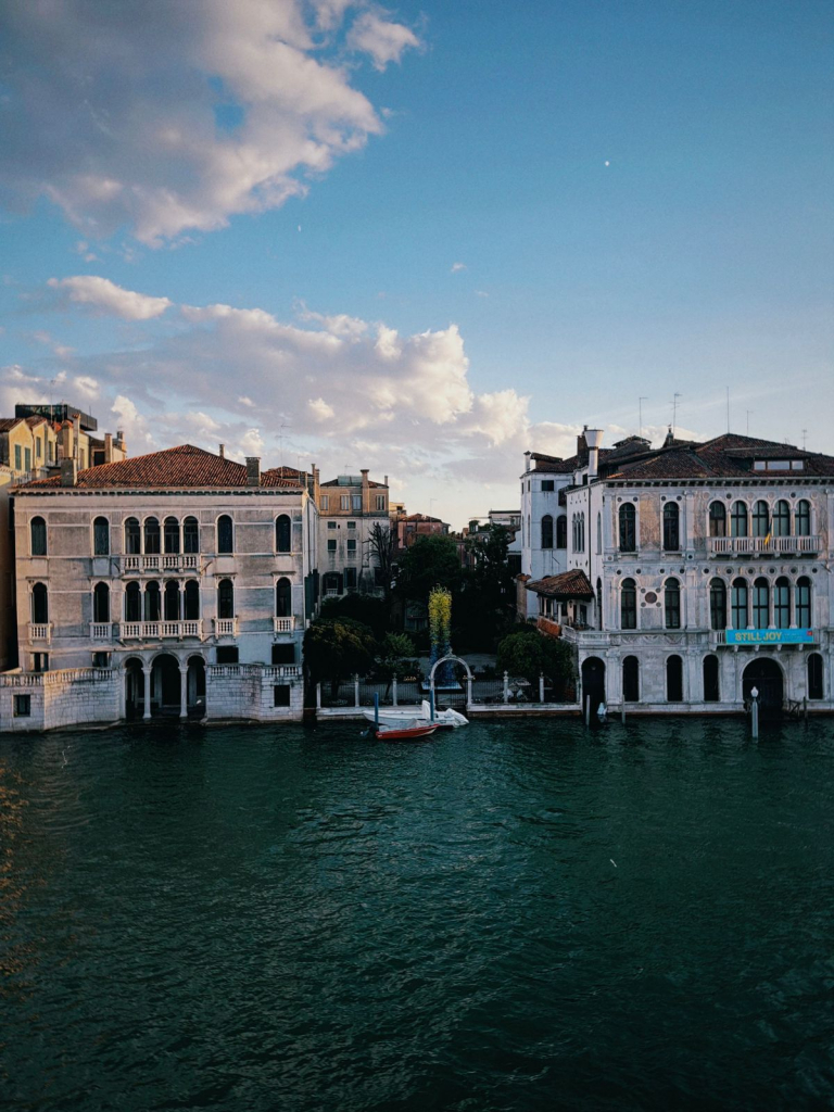 Bienal De Veneza (6)