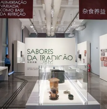 Ano Cultural Brasil-China aproxima brasileiros da tradição milenar chinesa