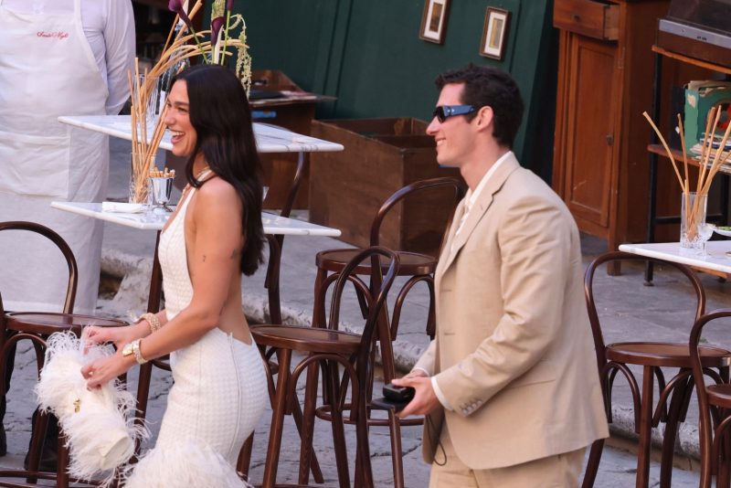 Dua Lipa, Callum Turner