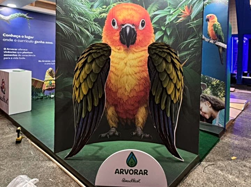 Arvorar leva educação para além da sala de aula e promove novas experiências