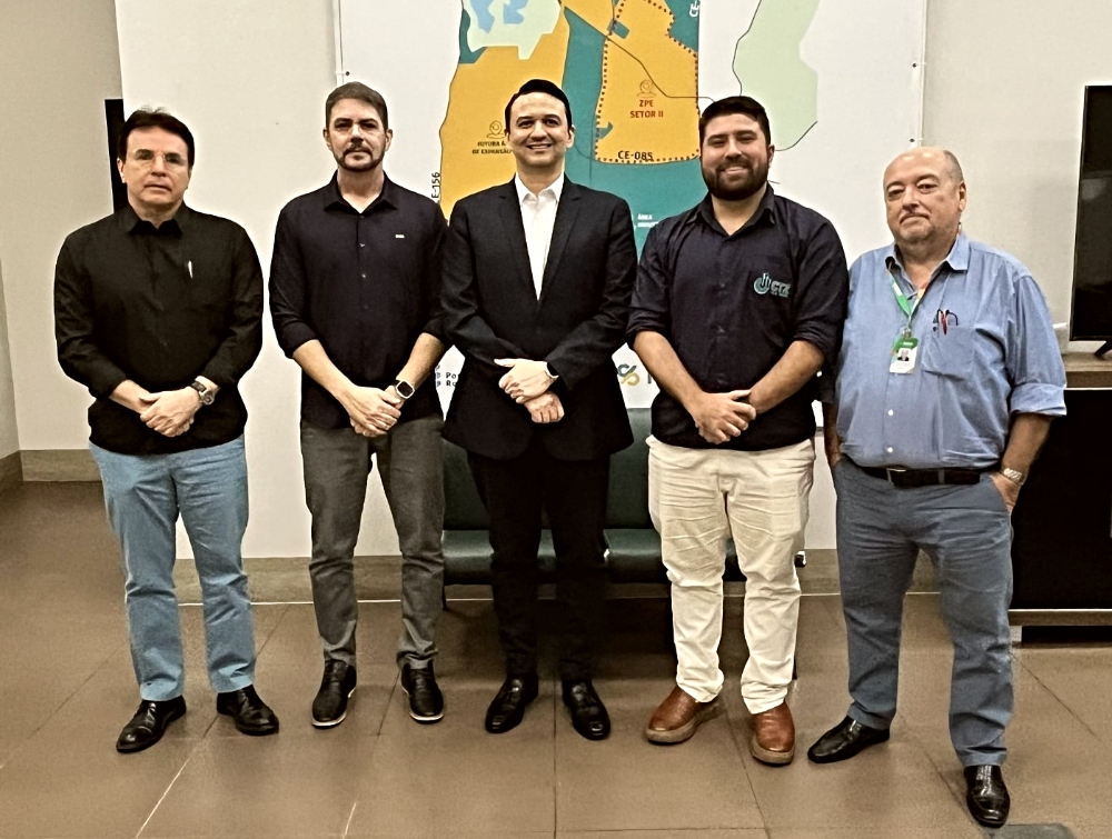 Ceará aposta em tecnologia própria e avança para liderar nova fronteira eólica