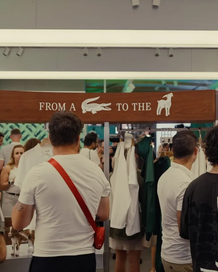 Lacoste (2)