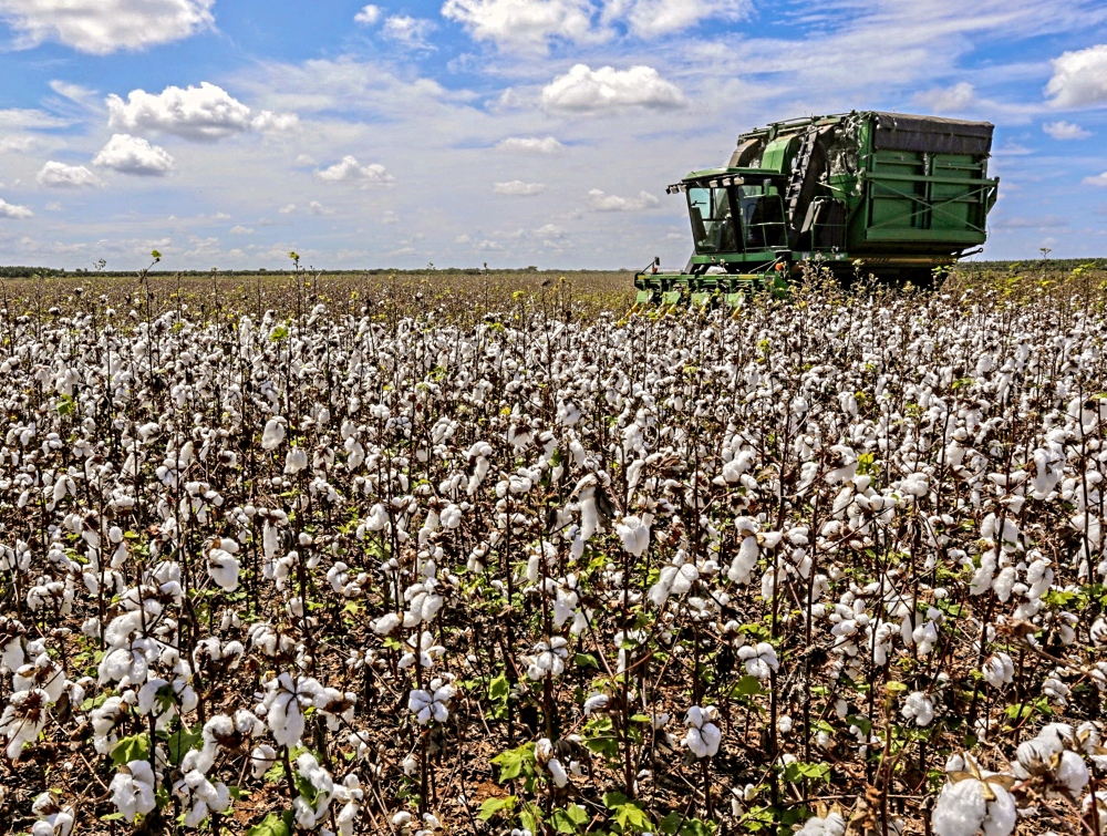 Ceará cresce acima da média nacional e reforça o seu protagonismo econômico
