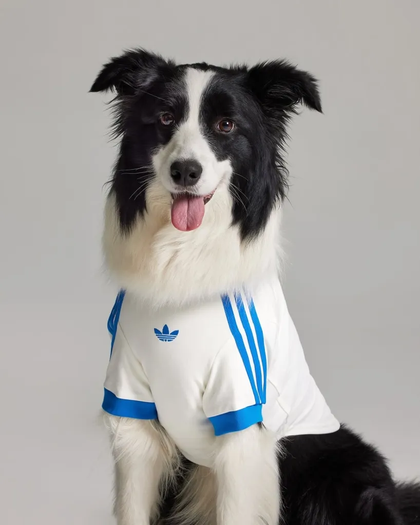 A Adidas Originals Acaba De Trazer Ao Brasil Sua Linha Dedicada Aos Animais De Estimação, Com Ro (3)