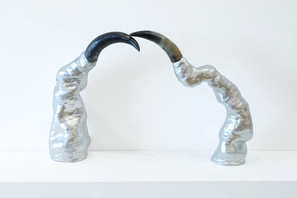 Céu Vasconcelos (pacajus, 2001), Contato, 2026, Chifres E Cerâmica Cromada, 60 X 10 Cm E 58 X 15 Cm. Foto Pedro Bessa
