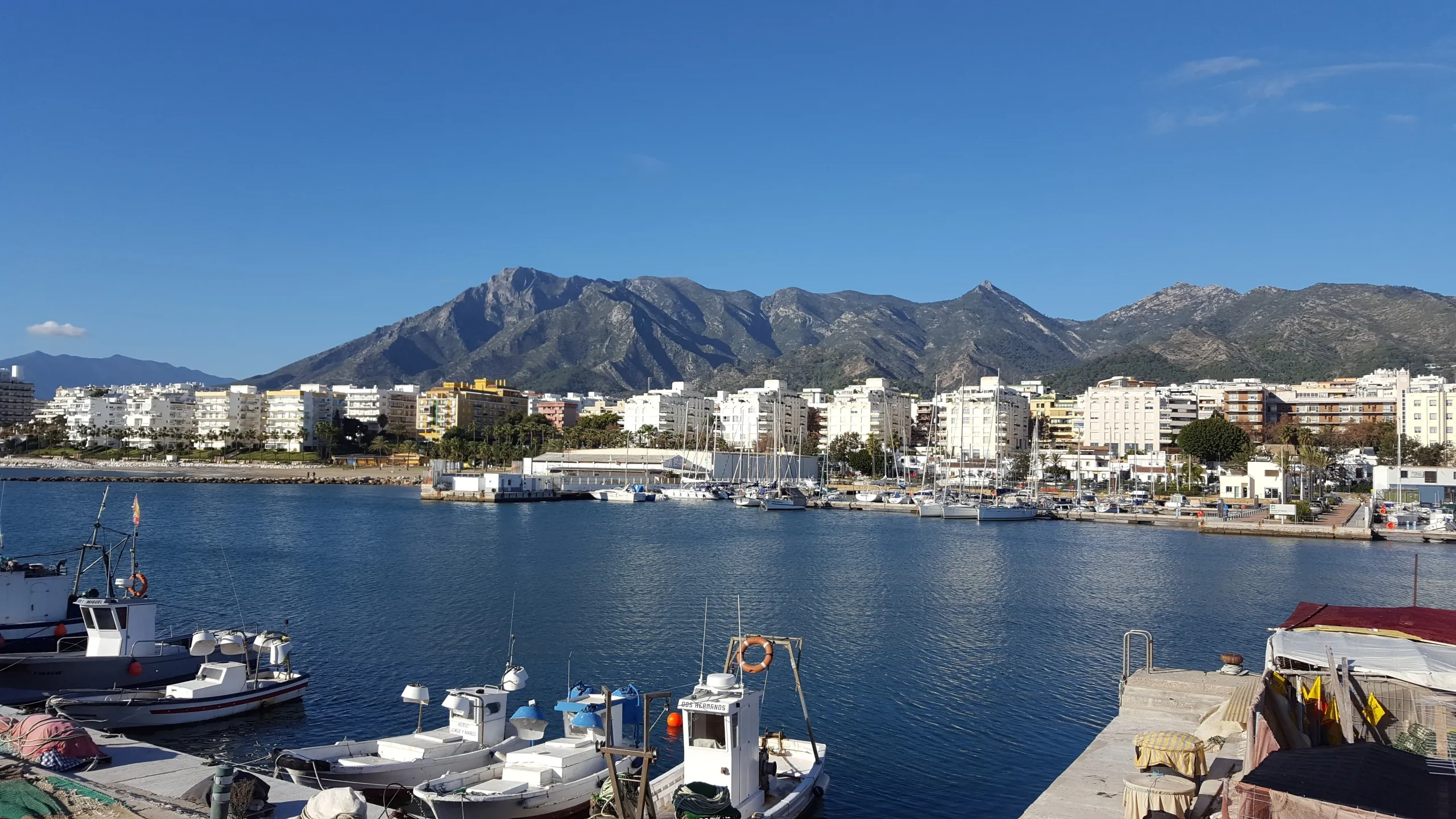 Marbella aposta em startups para se tornar o Vale do Silício da Europa