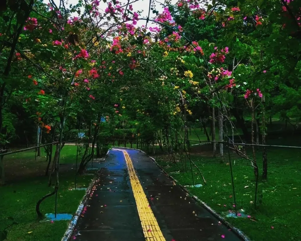 Parque Do Cocó