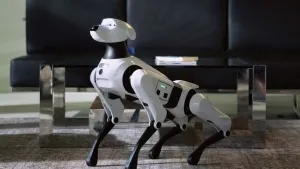 Argos Cao Robotico