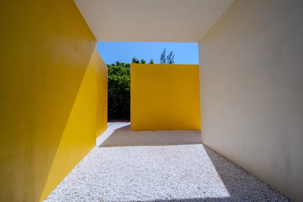 Helio Oiticica 20