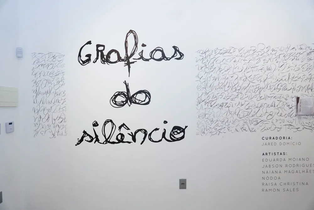 Lançamento Do Livro Direito Eleitoral De Raquel Machado (8)