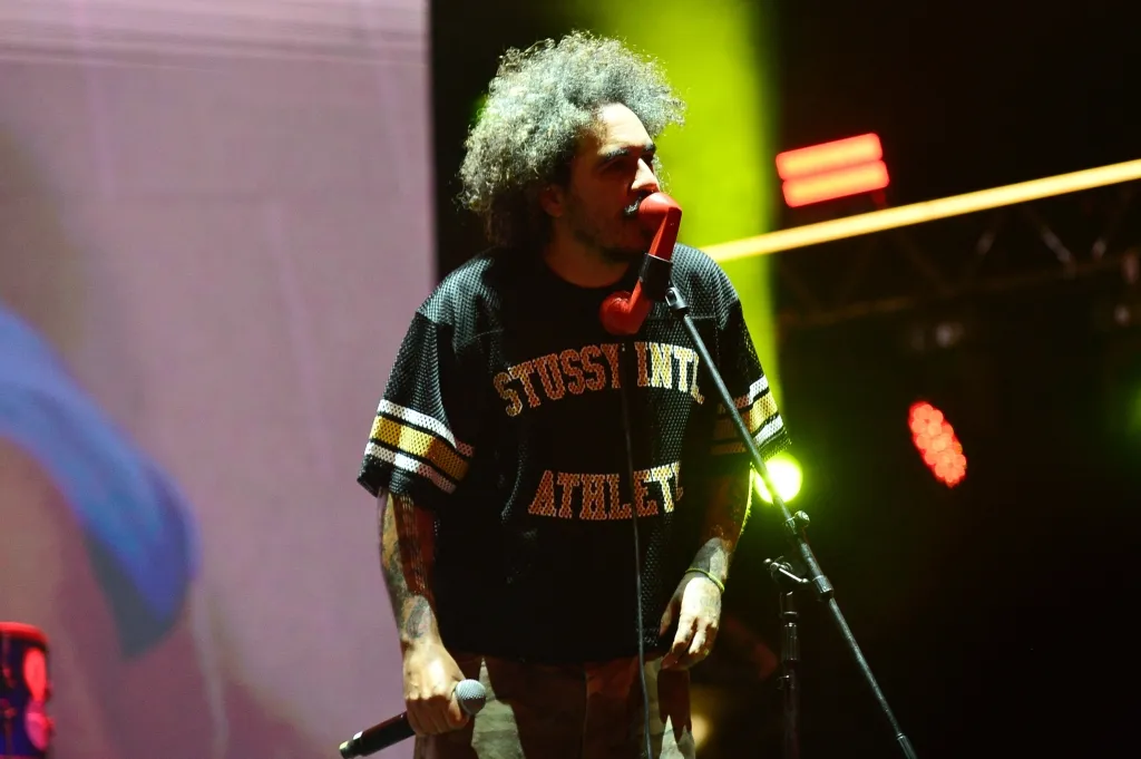 Marcelo D2 (1)