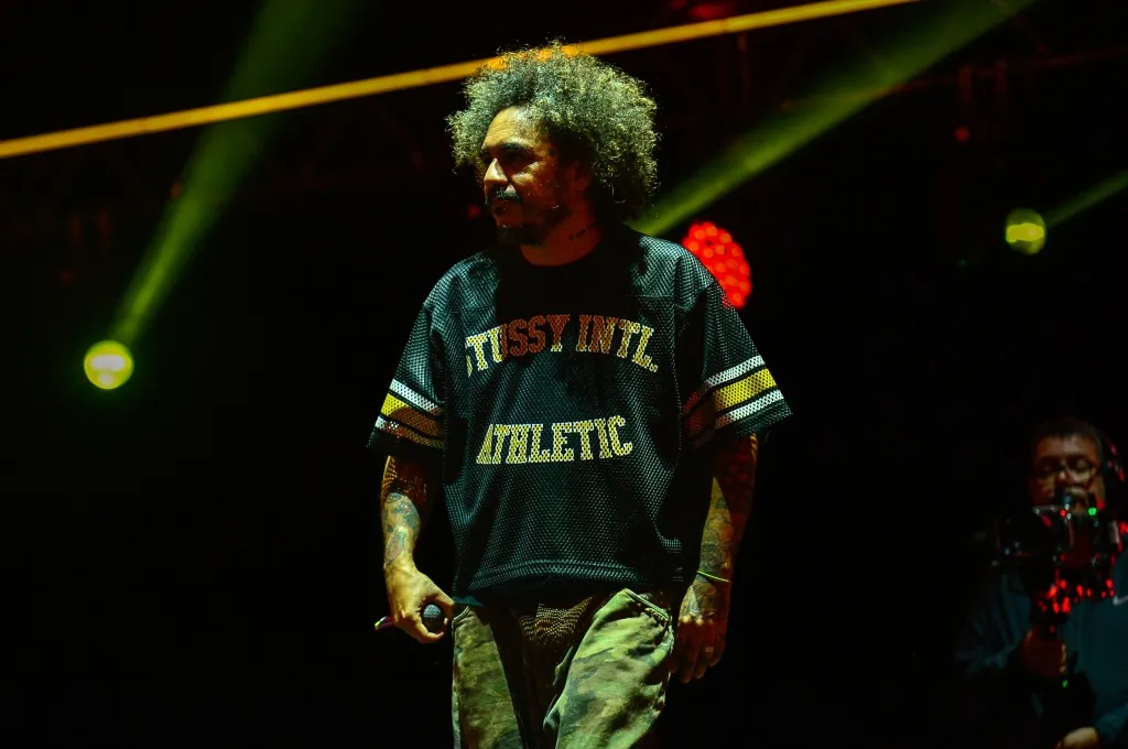Marcelo D2 (2)