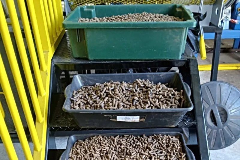 REDUÇÃO DE EMISSÕES - DE Pecém fará teste com biocombustível produzido a partir da casca do coco verde