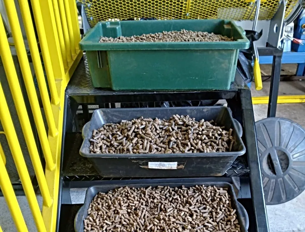 DE Pecém fará teste com biocombustível produzido a partir da casca do coco verde