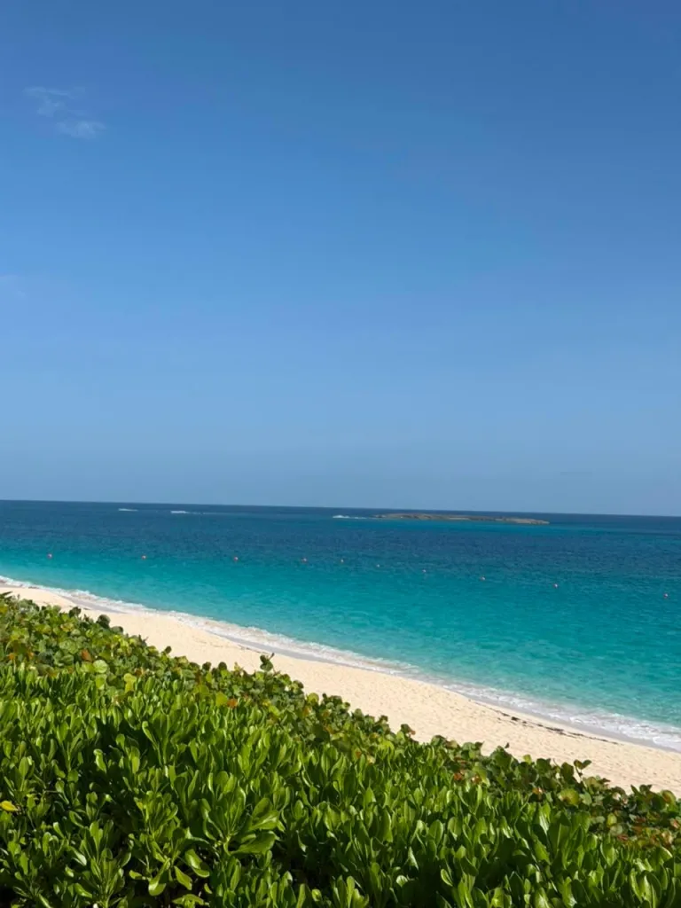 Paradise Island
