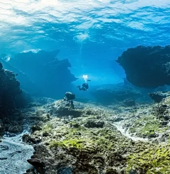 Fernando de Noronha ganha novo olhar com projeto sobre o mundo subaquático