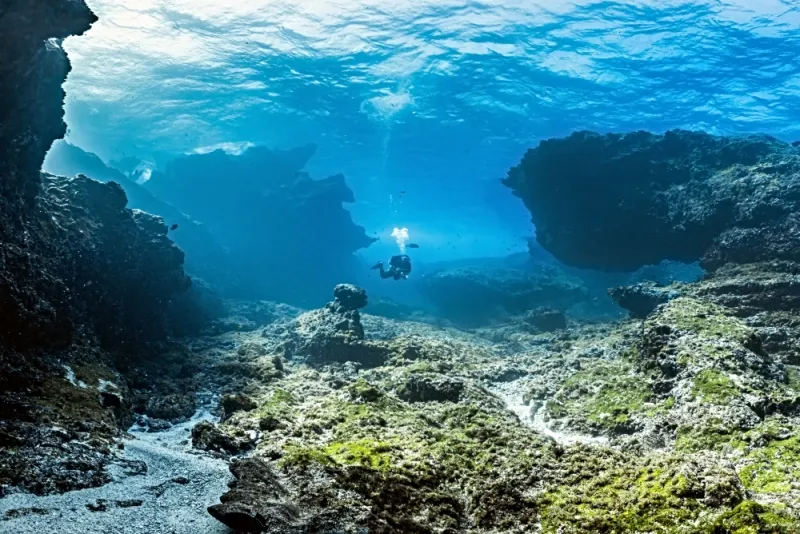 523 ANOS DE HISTÓRIA - Fernando de Noronha ganha novo olhar com projeto sobre o mundo subaquático